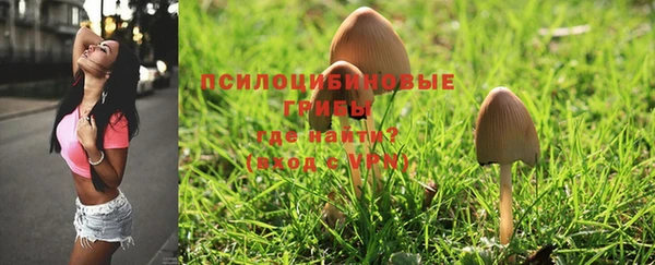 марки lsd Абинск