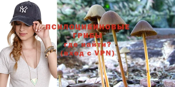 спайс Абдулино