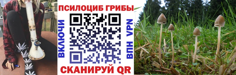 Галлюциногенные грибы мицелий  Юрга 